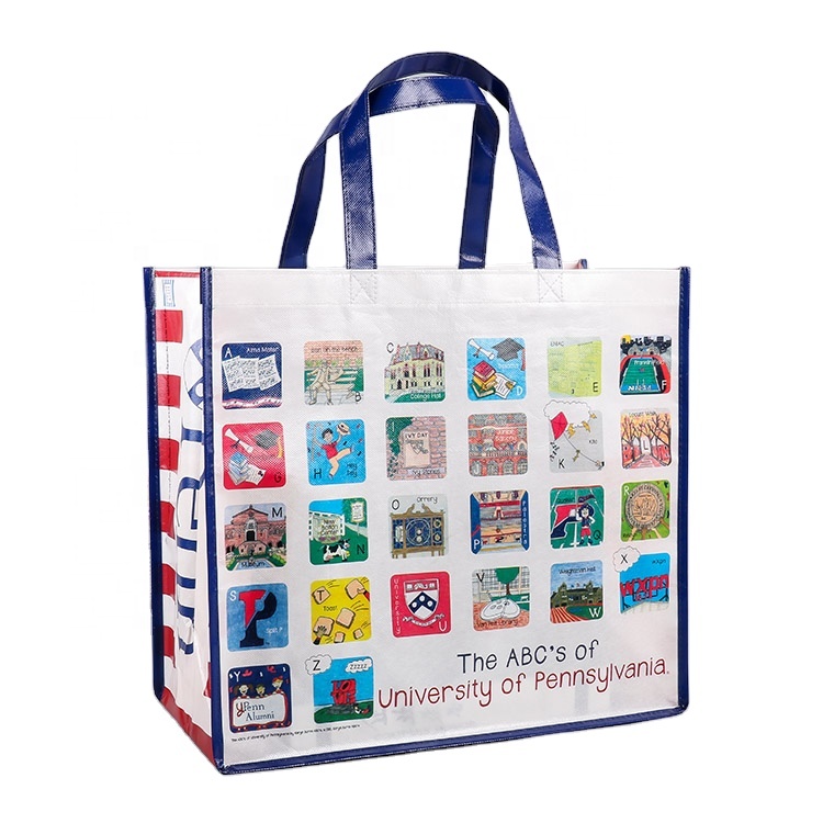 Non Woven Bag