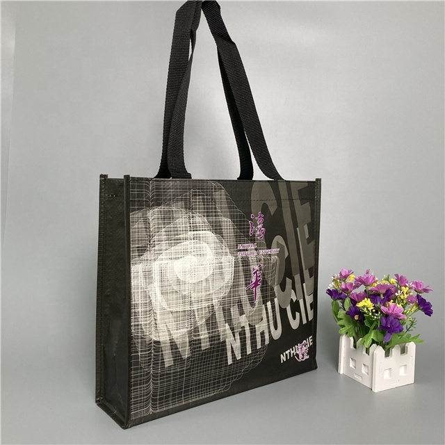  Non Woven Bag