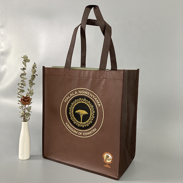  Non Woven Bag